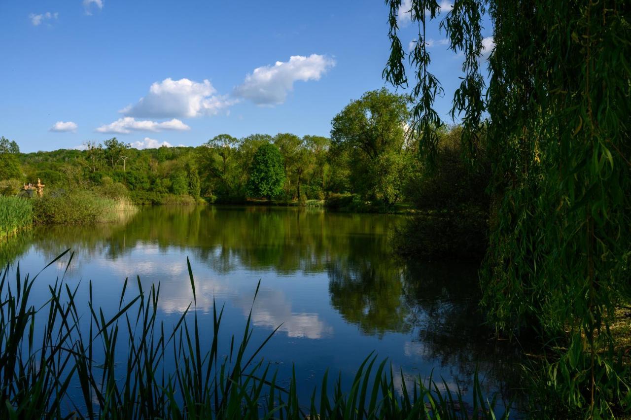 Domaine De Lardoisiere Ξενοδοχείο Château-Salins Εξωτερικό φωτογραφία